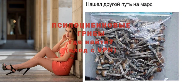 индика Абдулино