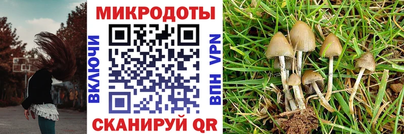 купить Катав-Ивановск Галлюциногенные грибы GOLDEN TEACHER